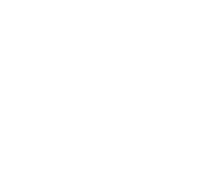 NUST logo